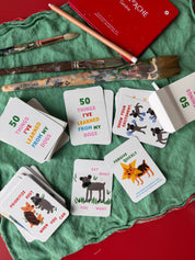 50 THINGS I'VE LEARNED FROM MY DOGS DECK